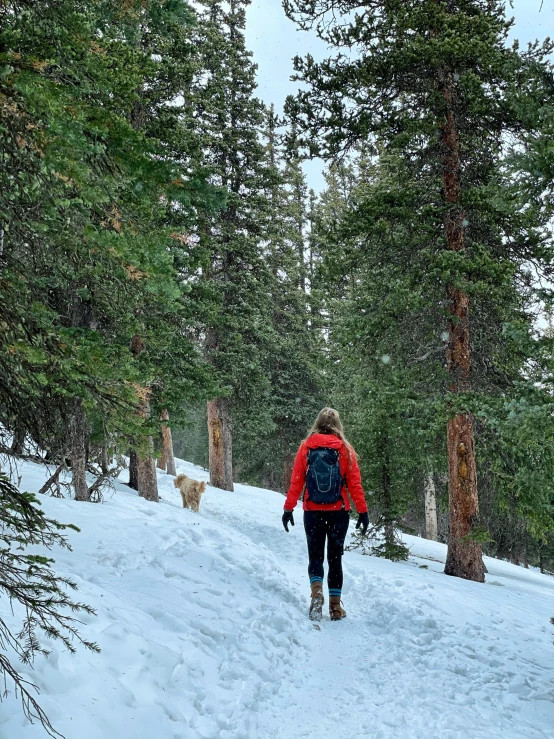 a person walking down a snow covered path in the woods