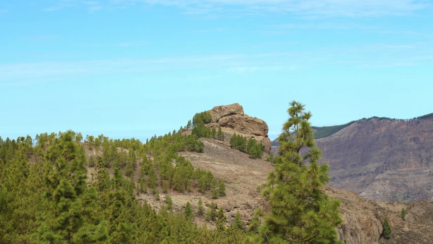 a large rock is sitting on top of some trees