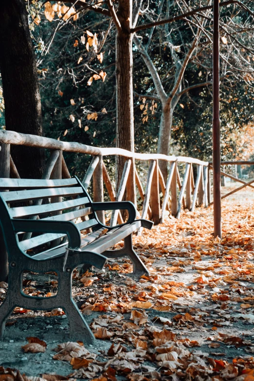 a park bench that has fallen leaves around it