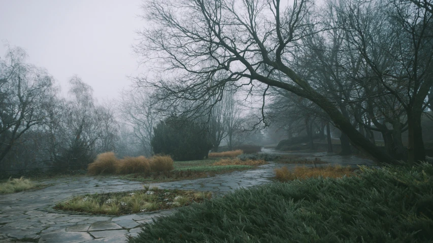 a walkway in a park on a foggy day