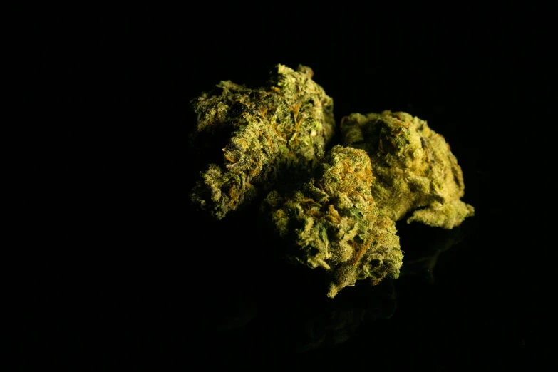 a couple of yellow weed in front of a black background