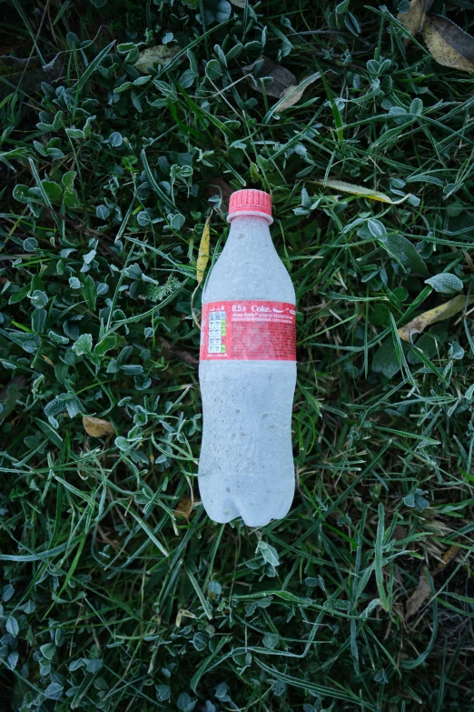 a water bottle sitting on some grass