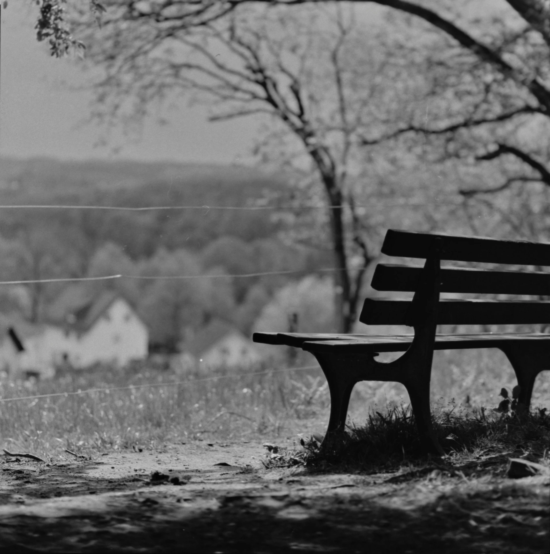 a black and white po shows an empty bench