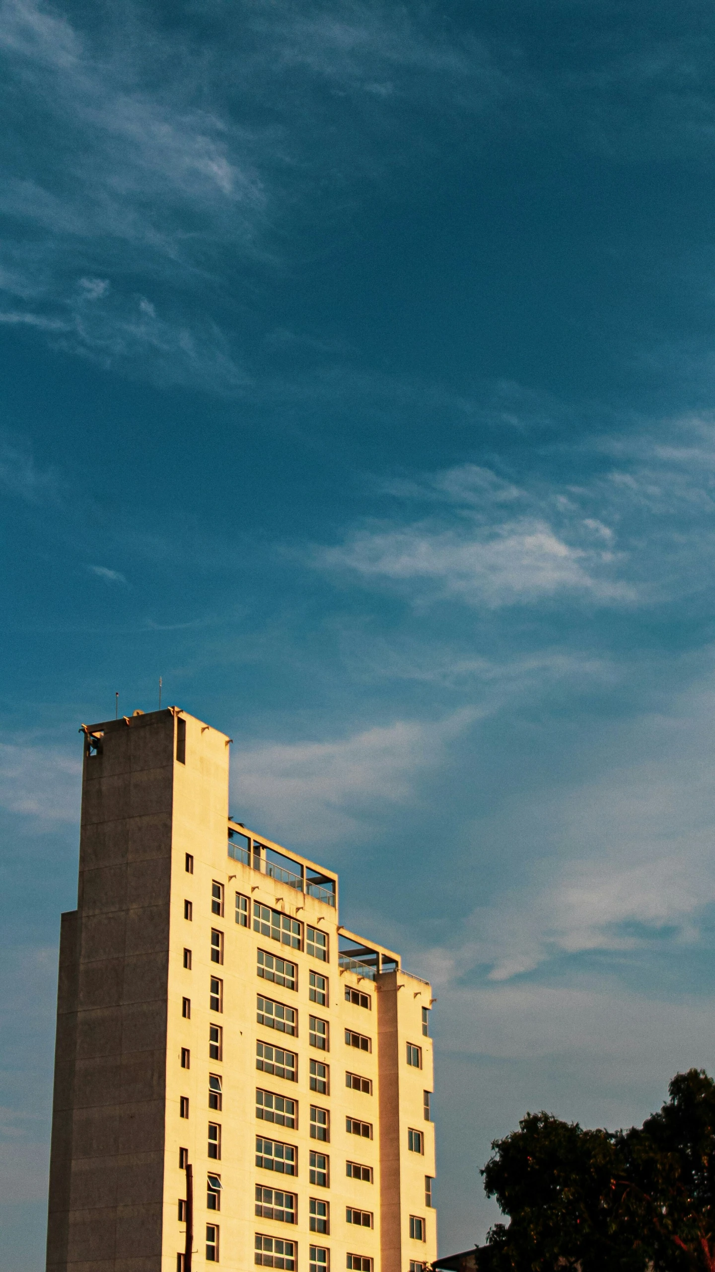 this building is surrounded by tall buildings and palm trees