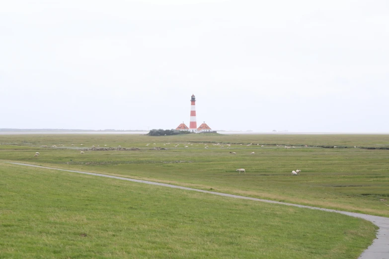 the path has sheep in a field and a tower in the background