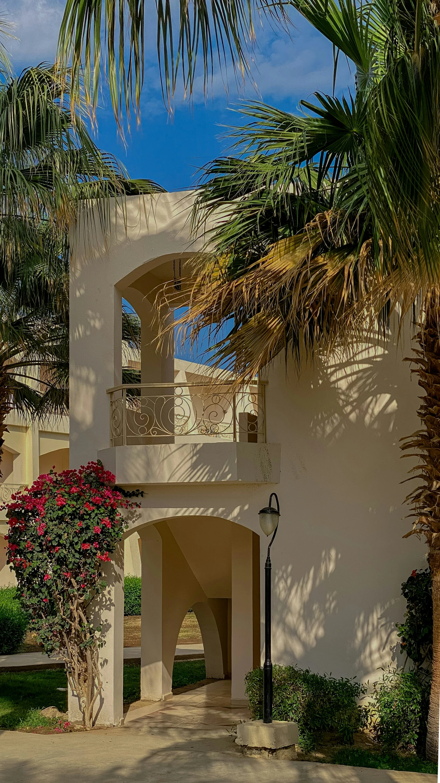 a building with landscaping and palm trees near by