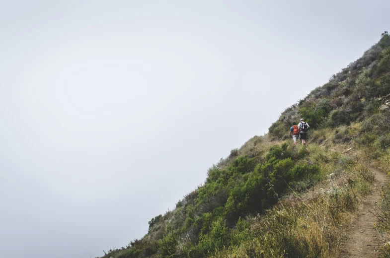 a couple of people walking down the side of a tall cliff