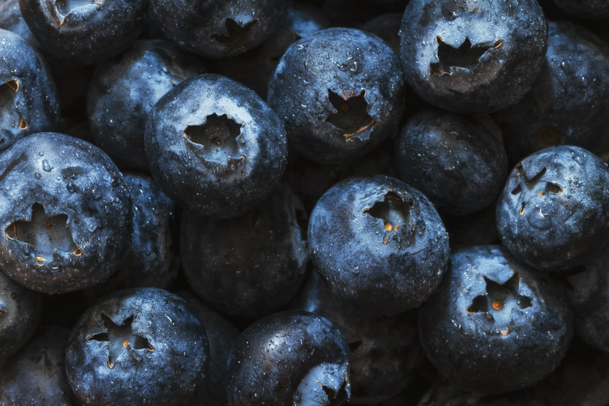 close up image of blueberries in a pile