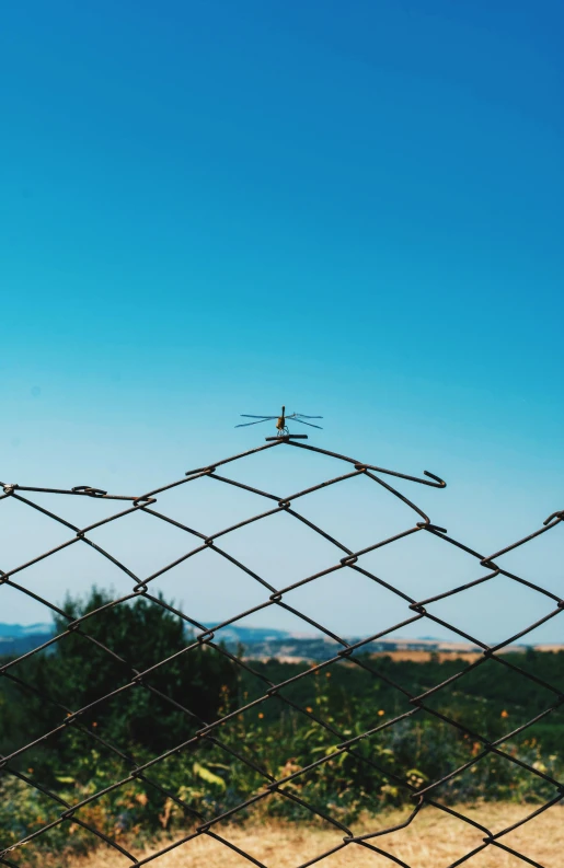 a barbed wire fence with a bird standing on it