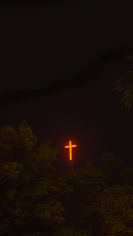 an illuminated cross in front of a dark forest
