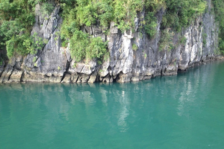 the cliff near the water is rocky and has vegetation growing on it