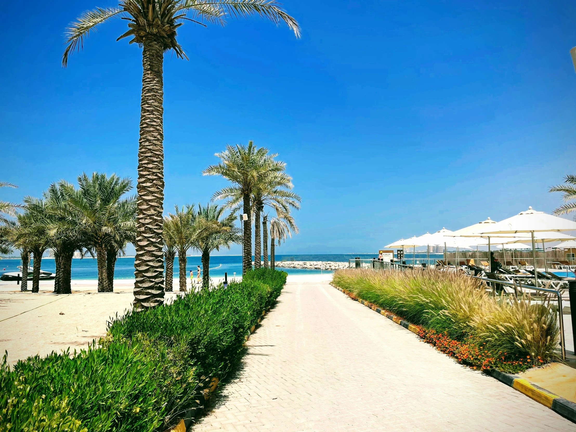 a pathway between the two buildings with some palm trees on one side