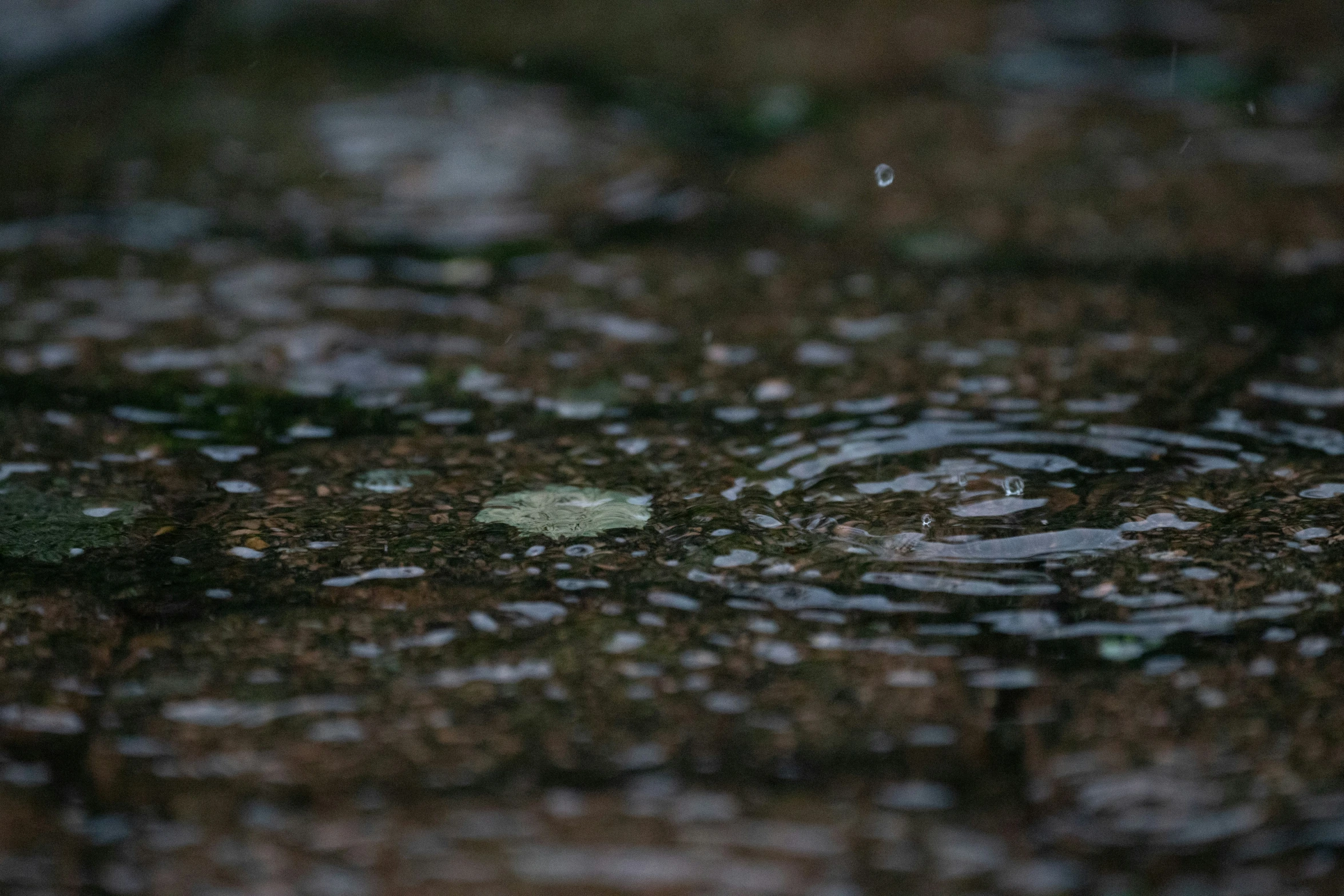 a water drop on top of a wet surface