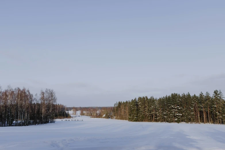 a trail through an open winter landscape