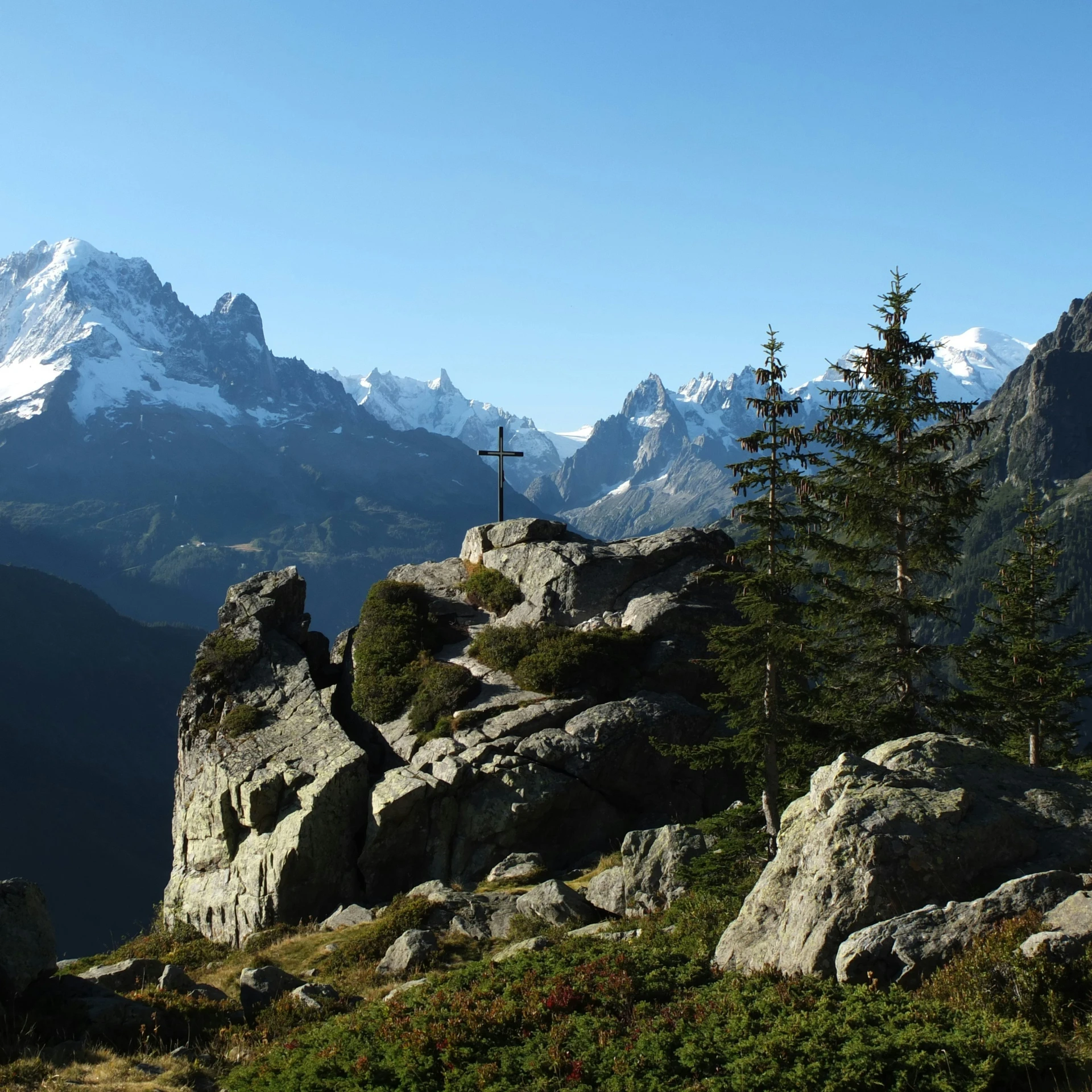 two trees on top of a large rocky hill