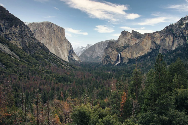 many tall mountains covered in trees and clouds