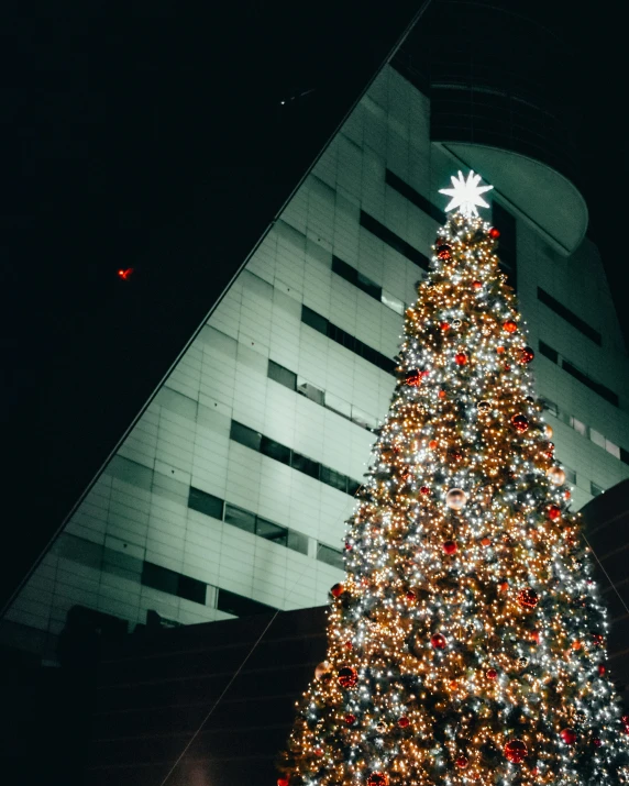 a lit christmas tree in front of a large building at night