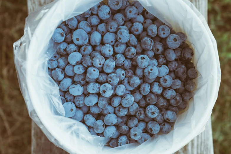 a plastic bag filled with blueberries on top of a table