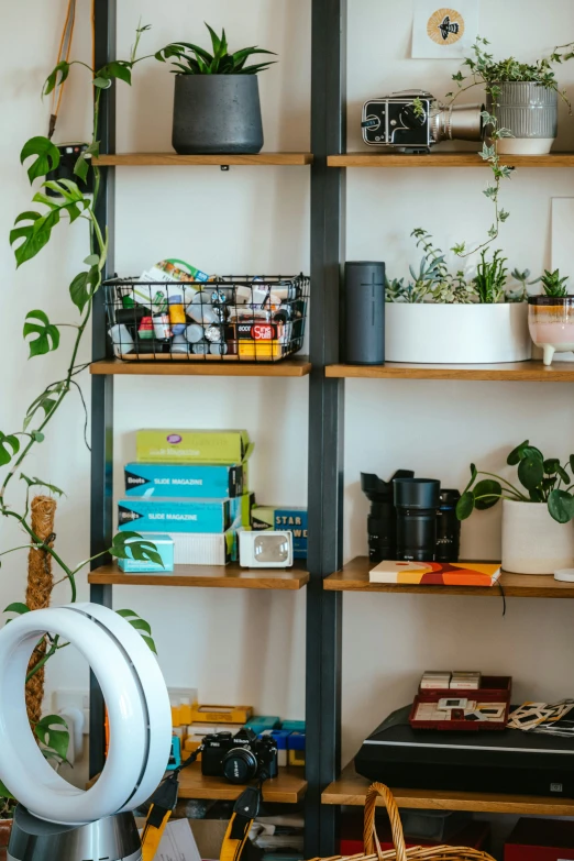 there are shelves filled with books and plants