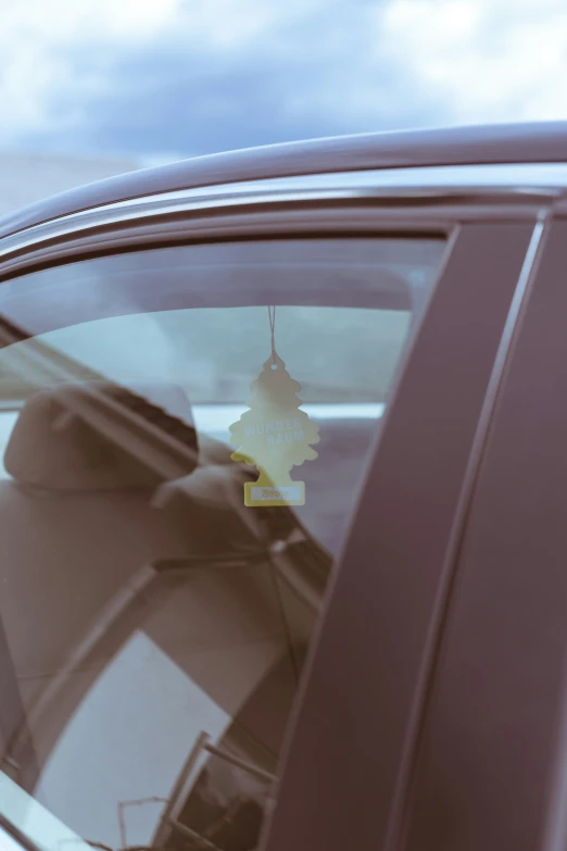 a tree in a car window hanging upside down