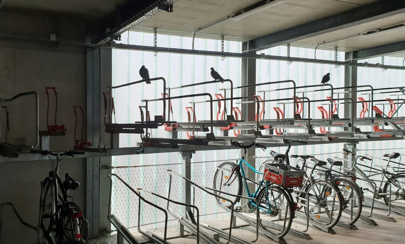 many bicycles are parked in a room with bars