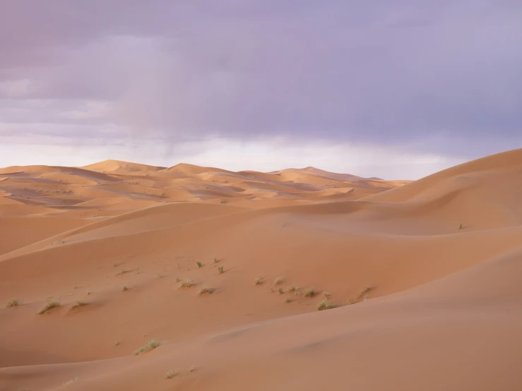 there are trees on the hill and sand dunes