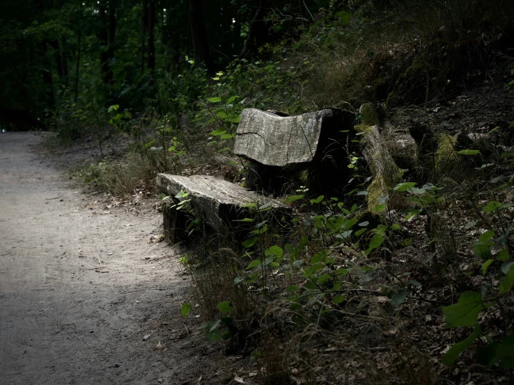 a bench is shown on the side of a dirt road