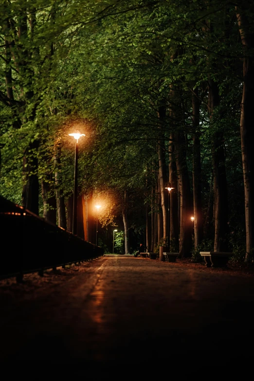a park bench near a path with lights