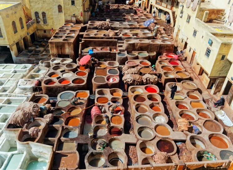 several bowls are lined up outside near each other