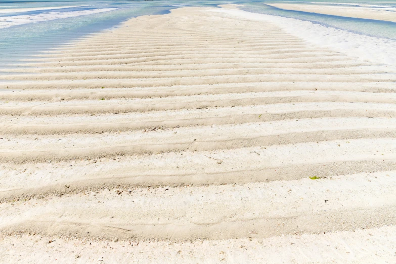 a lone seagull on the sandy beach near a boat