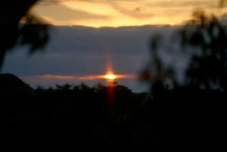 a silhouetted tree nch with the sun shining through clouds