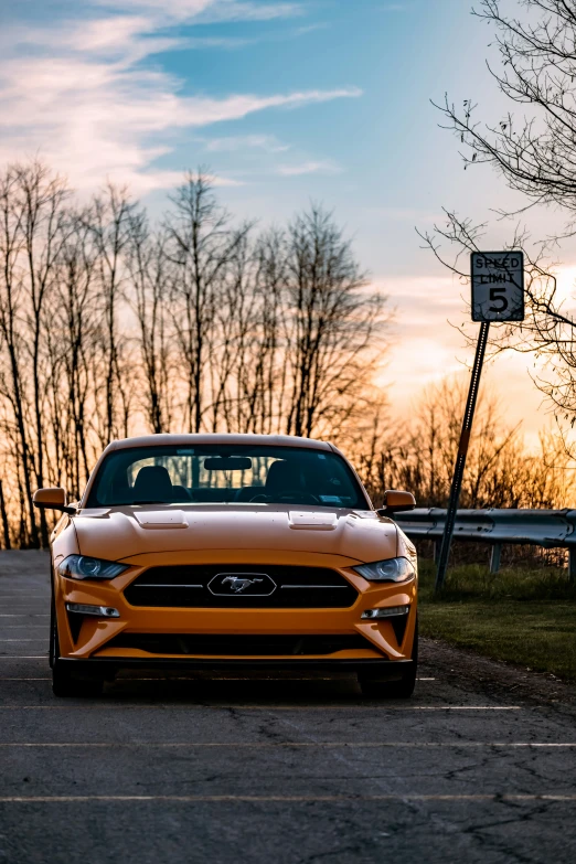 a mustang on the road, with a parking sign in the background