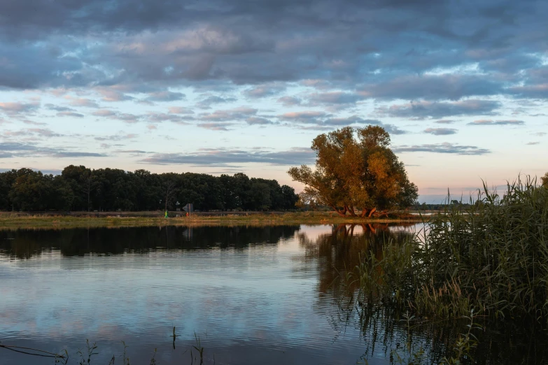 a calm river with trees reflecting in it