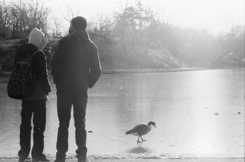 two people watching a bird walk on the shore of a lake