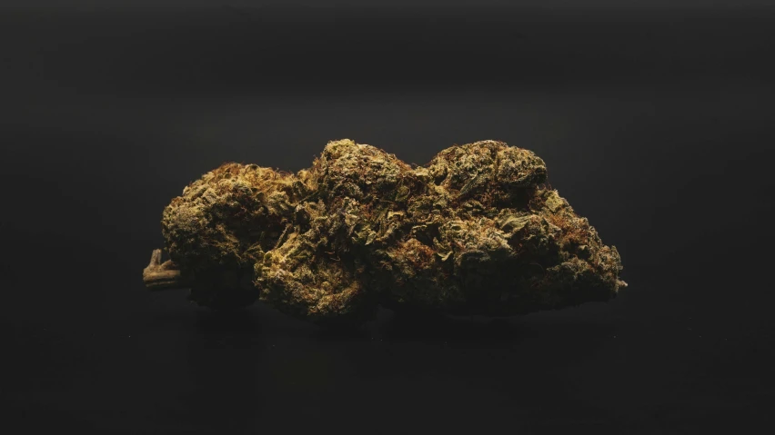 three large buds of weed on a black surface