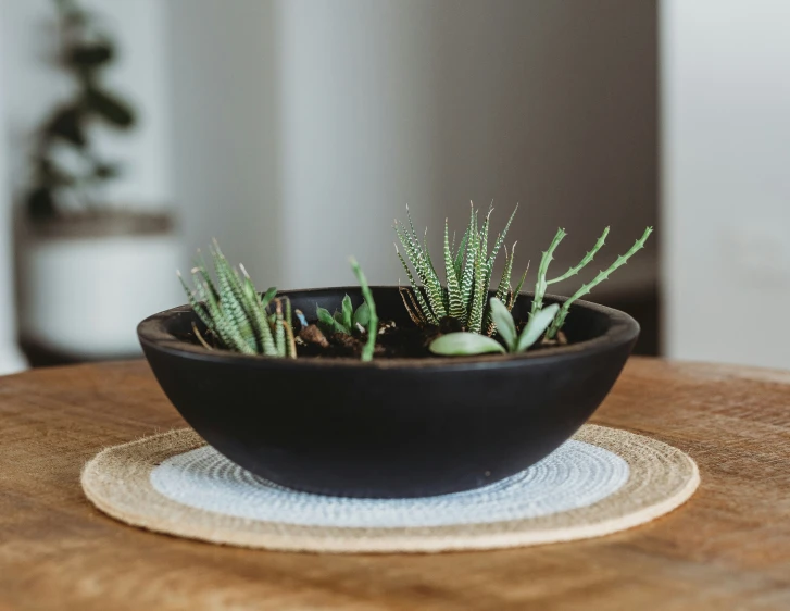 a planter sitting on top of a wooden table