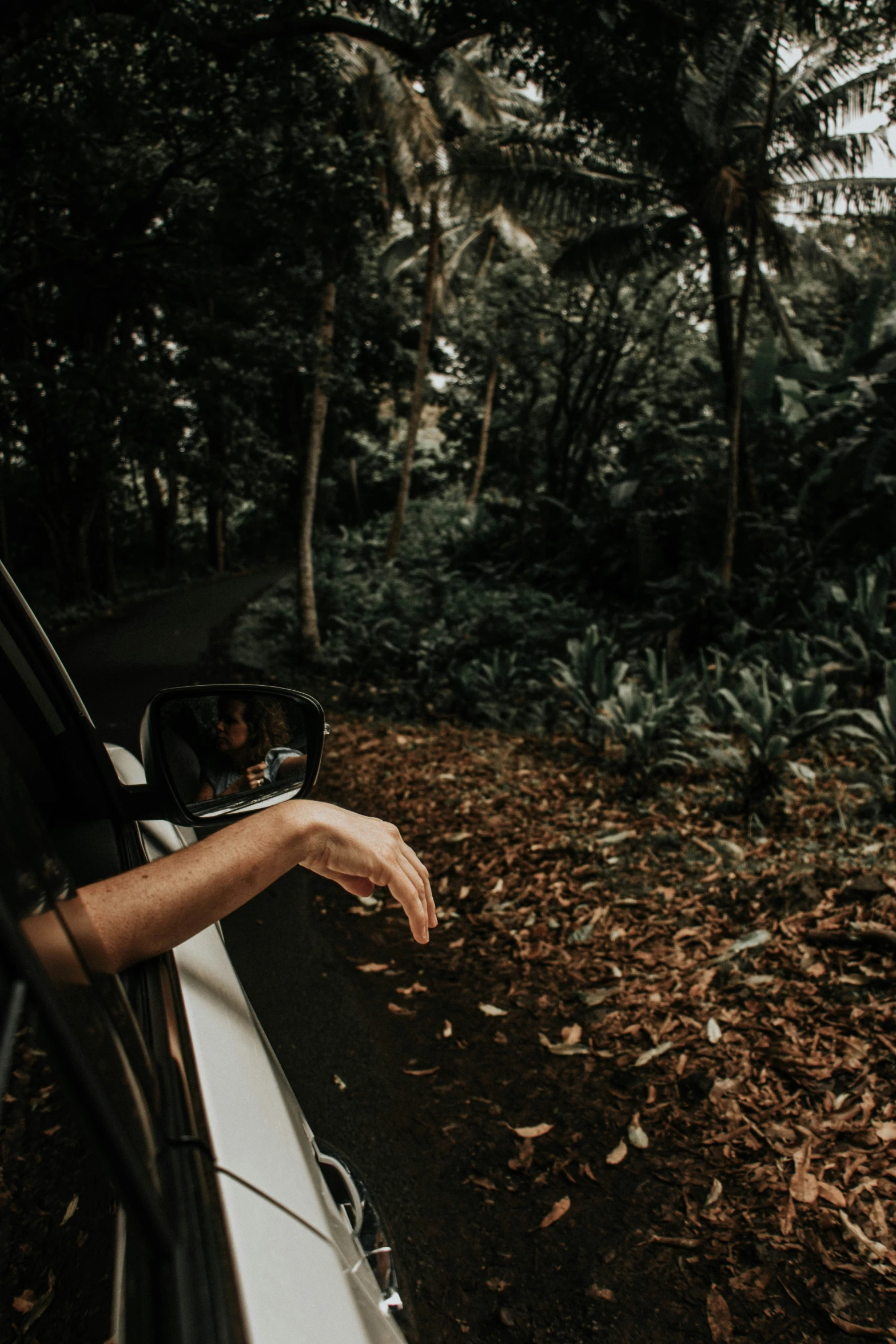 a hand reaching out the window of a car