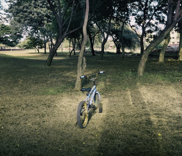 the small bike is parked in the middle of the park