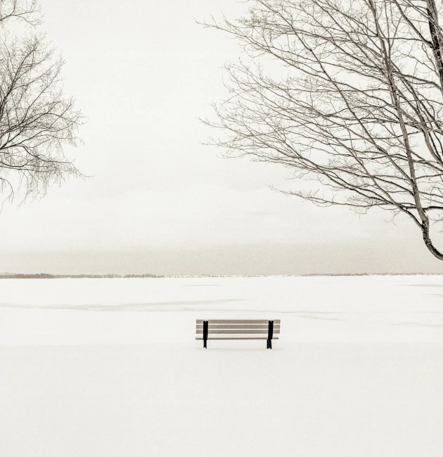 a lone bench in the snow overlooking a tree lined beach