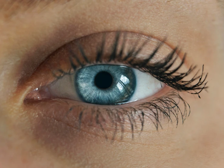 close up of a persons eye showing a curl of long false lashes