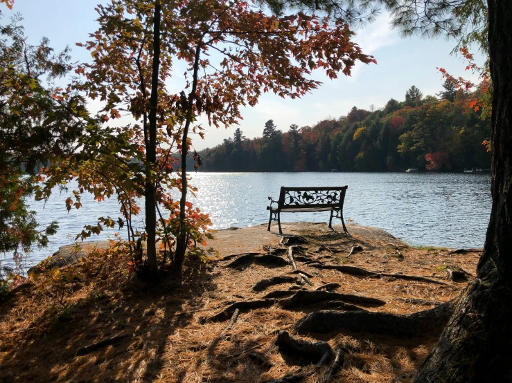 a park bench sits on a cliff overlooking the water