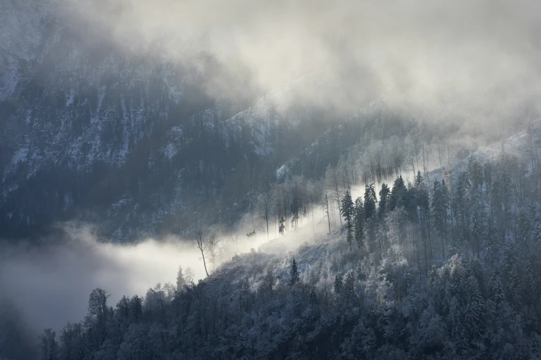 a very large mountain covered in snow surrounded by trees