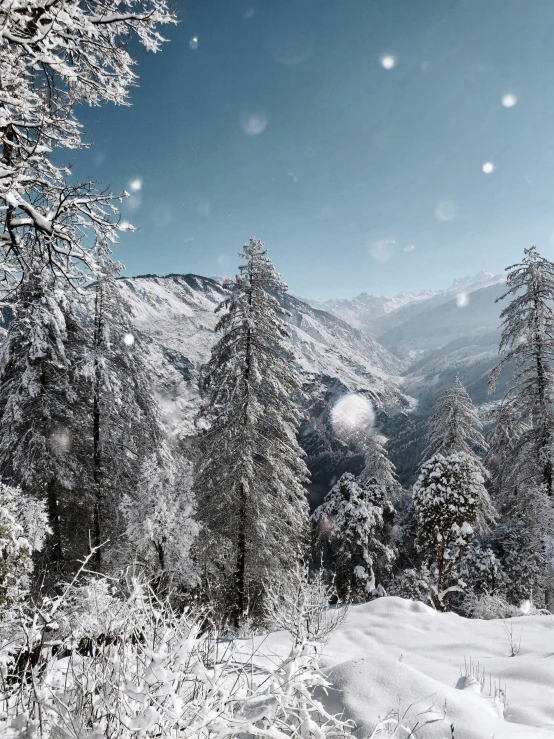 a snow covered forest and mountains with a few clouds