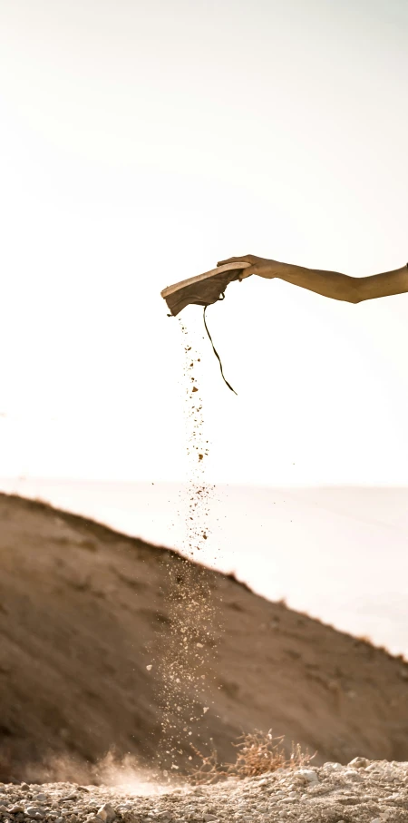 a bird flies over the water and sand