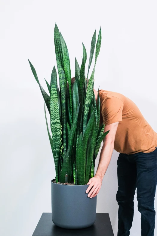 the man is bending over to pick up the plant