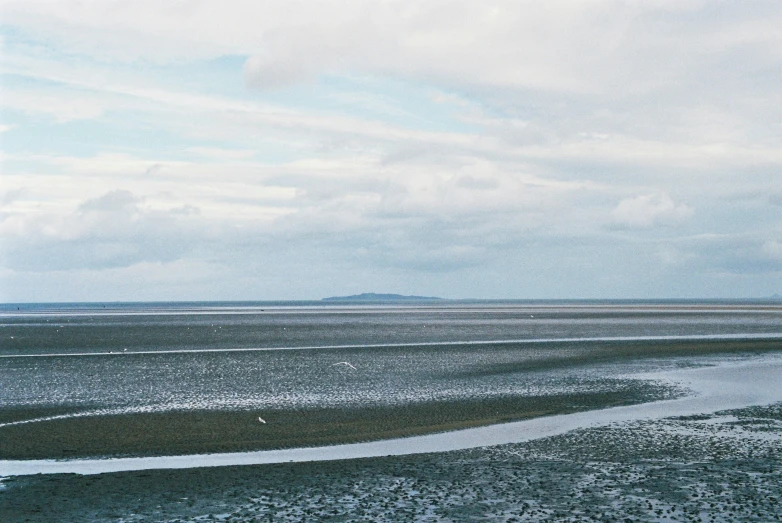 a large body of water in the middle of a field