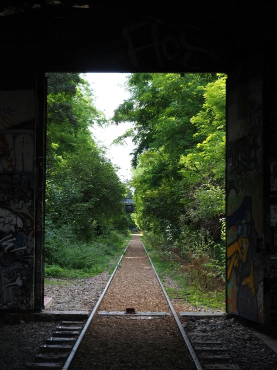 an open doorway into the woods leading to a railroad track