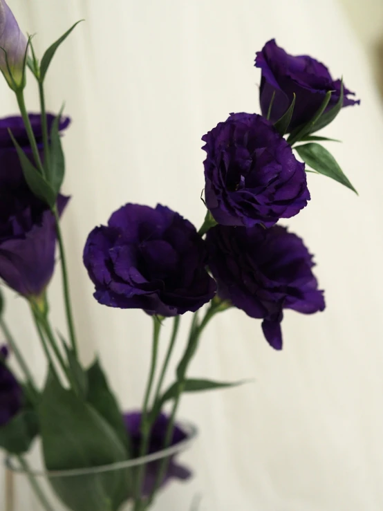 several purple flowers are in the vase with greenery