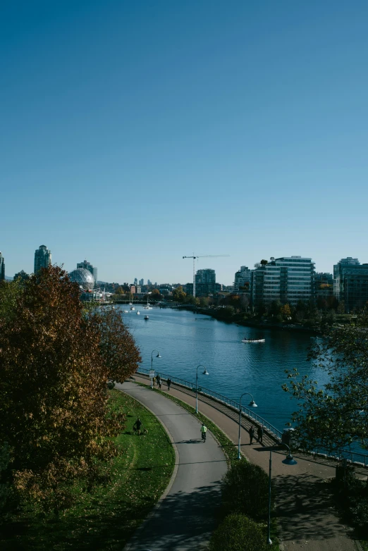 a view of some water and buildings with a tree