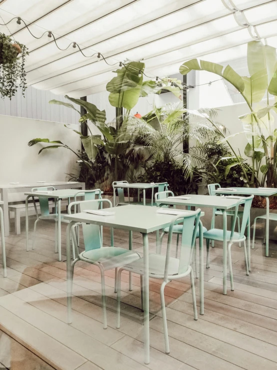 this is an empty indoor dining room with lots of green plants